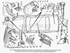 Фото ФАРА 31029 ЛЕВАЯ Газ 60123711010 Газ