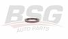 Фото О-ринг вакуумного насоса - нижн. Bsg BSG30116088 Bsg