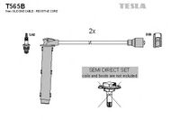 Система зажигания T565B Tesla