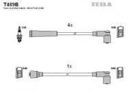 Комплект электропроводки T489B Tesla
