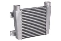 Охладитель надувочного воздуха (Интеркулер) ПАЗ 3205 ММЗ (L) LRIC 0332 lric0332 Luzar
