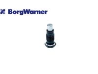 Устройство для натяжения цепи ГРМ 5031672CN Borg Warner