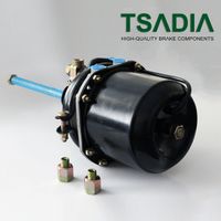 Энергоаккумулятор (кулачковый тормоз) TYPE20/24 Scania tbc1501 Tsadia