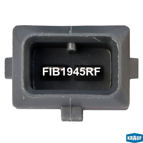 Форсунка бензиновая FIB1945RF FIB1945RF Krauf