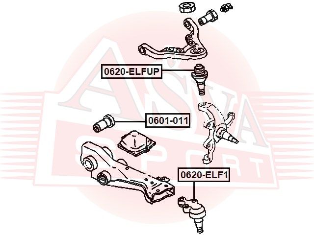 Шарнир 0620ELF1 Asva