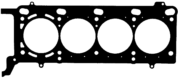 Прокладка, головка цилиндра 61-33815-00 Reinz