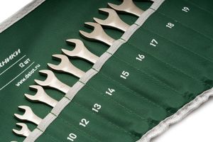 511123 Набор ключей комбинированных 12 шт. (6,8,10,12,13,14,15,16,17,18,19, 22 мм) (ЕВРО) планшет тетрон.