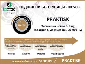 Подшипник ступицы задней Калина B-RING PBLS0108R B-Ring